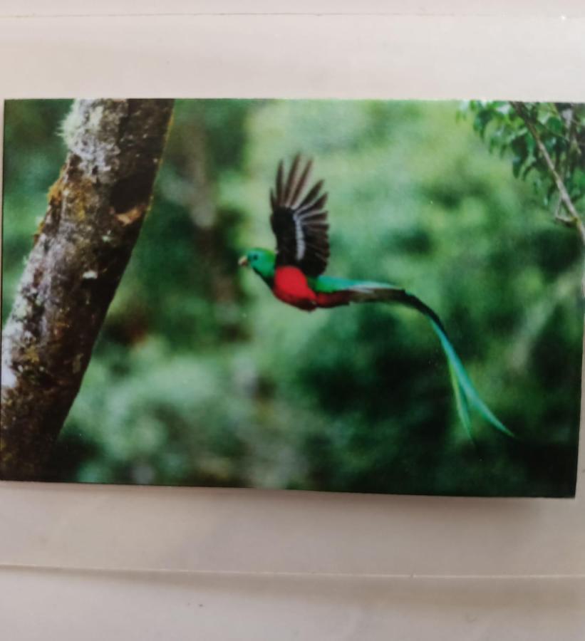 Appartamento Quetzal Playa del Carmen Esterno foto